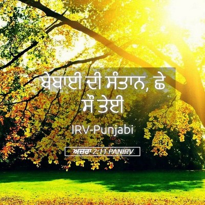 Picture 05 - ਅਜ਼ਰਾ 2:11 PANIRV - ਬੇਬਾਈ ਦੀ ਸੰਤਾਨ, ਛੇ - Bible Verse Picture