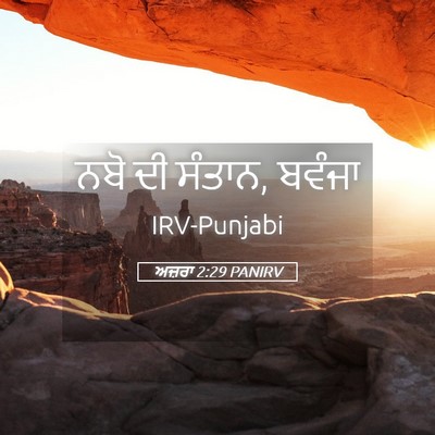 Picture 05 - ਅਜ਼ਰਾ 2:29 PANIRV - ਨਬੋ ਦੀ ਸੰਤਾਨ, - Bible Verse Picture