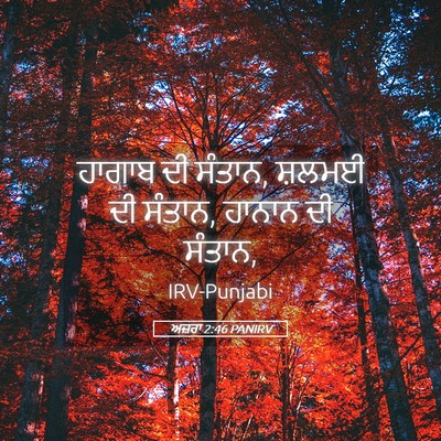 Picture 05 - ਅਜ਼ਰਾ 2:46 PANIRV - ਹਾਗਾਬ ਦੀ ਸੰਤਾਨ, - Bible Verse Picture