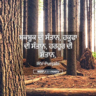 Picture 05 - ਅਜ਼ਰਾ 2:51 PANIRV - ਬਕਬੂਕ ਦੀ ਸੰਤਾਨ, - Bible Verse Picture