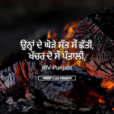 Picture 05 - ਅਜ਼ਰਾ 2:66 PANIRV - ਉਨ੍ਹਾਂ ਦੇ ਘੋੜੇ ਸੱਤ - Bible Verse Picture