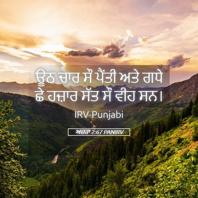 Picture 05 - ਅਜ਼ਰਾ 2:67 PANIRV - ਊਠ ਚਾਰ ਸੌ ਪੈਂਤੀ ਅਤੇ - Bible Verse Picture