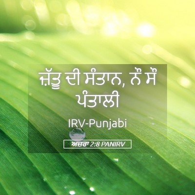 Picture 05 - ਅਜ਼ਰਾ 2:8 PANIRV - ਜ਼ੱਤੂ ਦੀ ਸੰਤਾਨ, ਨੌ - Bible Verse Picture