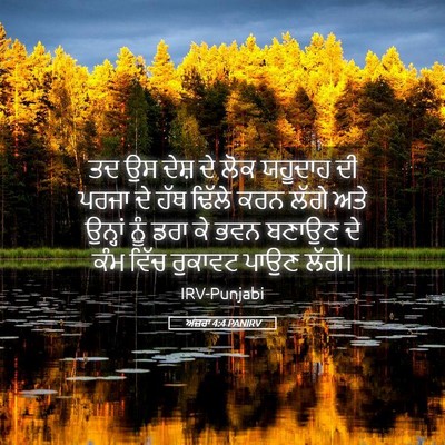 Picture 05 - ਅਜ਼ਰਾ 4:4 PANIRV - ਤਦ ਉਸ ਦੇਸ਼ ਦੇ ਲੋਕ - Bible Verse Picture