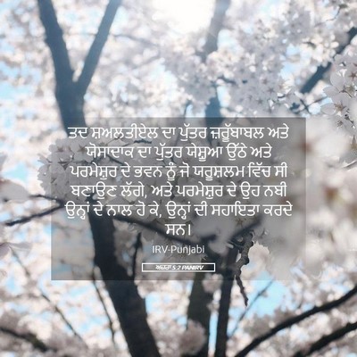 Picture 05 - ਅਜ਼ਰਾ 5:2 PANIRV - ਤਦ ਸ਼ਅਲਤੀਏਲ ਦਾ - Bible Verse Picture