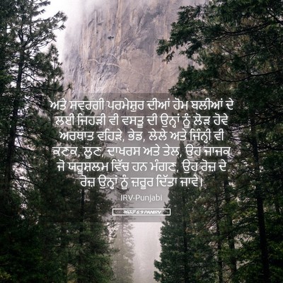 Picture 05 - ਅਜ਼ਰਾ 6:9 PANIRV - ਅਤੇ ਸਵਰਗੀ - Bible Verse Picture