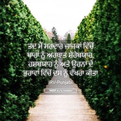 Picture 05 - ਅਜ਼ਰਾ 8:24 PANIRV - ਤਦ ਮੈਂ ਸਰਦਾਰ - Bible Verse Picture
