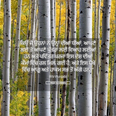 Picture 05 - ਅਜ਼ਰਾ 9:2 PANIRV - ਕਿਉਂ ਜੋ ਉਹਨਾਂ ਨੇ - Bible Verse Picture