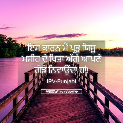Picture 05 - ਅਫ਼ਸੀਆਂ 3:14 PANIRV - ਇਸ ਕਾਰਨ ਮੈਂ ਪ੍ਰਭੂ - Bible Verse Picture