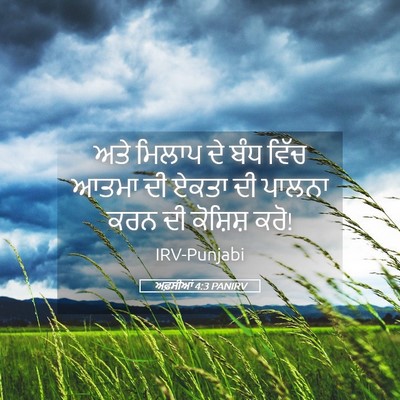 Picture 05 - ਅਫ਼ਸੀਆਂ 4:3 PANIRV - ਅਤੇ ਮਿਲਾਪ ਦੇ ਬੰਧ - Bible Verse Picture