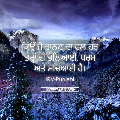 Picture 05 - ਅਫ਼ਸੀਆਂ 5:9 PANIRV - ਕਿਉਂ ਜੋ ਚਾਨਣ ਦਾ ਫਲ - Bible Verse Picture