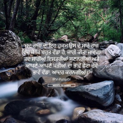 Picture 05 - ਅਸਤਰ 1:20 PANIRV - ਜਦ ਰਾਜਾ ਦਾ ਇਹ ਹੁਕਮ - Bible Verse Picture