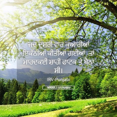 Picture 05 - ਅਸਤਰ 2:19 PANIRV - ਜਦ ਦੂਸਰੀ ਵਾਰ - Bible Verse Picture