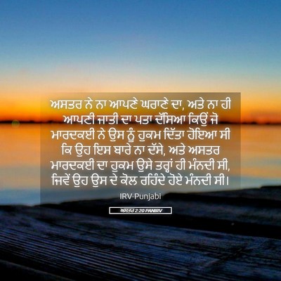 Picture 05 - ਅਸਤਰ 2:20 PANIRV - ਅਸਤਰ ਨੇ ਨਾ ਆਪਣੇ - Bible Verse Picture