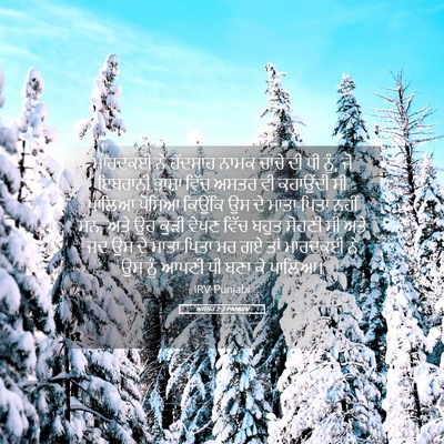 Picture 05 - ਅਸਤਰ 2:7 PANIRV - ਮਾਰਦਕਈ ਨੇ ਹੱਦਸਾਹ - Bible Verse Picture