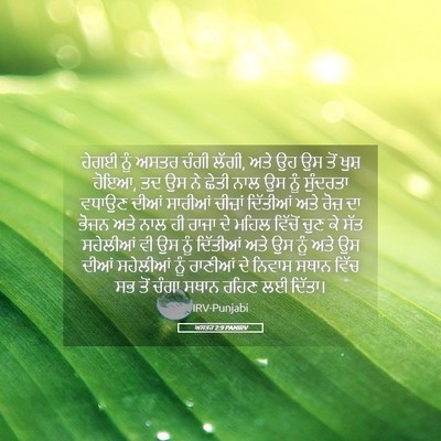 Picture 05 - ਅਸਤਰ 2:9 PANIRV - ਹੇਗਈ ਨੂੰ ਅਸਤਰ ਚੰਗੀ - Bible Verse Picture
