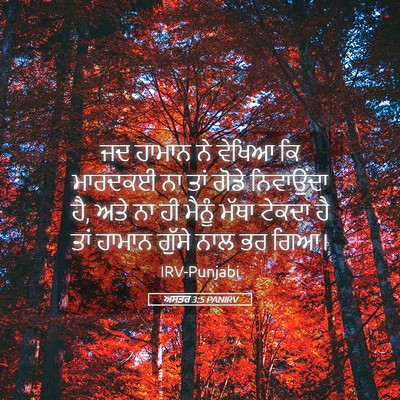 Picture 05 - ਅਸਤਰ 3:5 PANIRV - ਜਦ ਹਾਮਾਨ ਨੇ ਵੇਖਿਆ - Bible Verse Picture