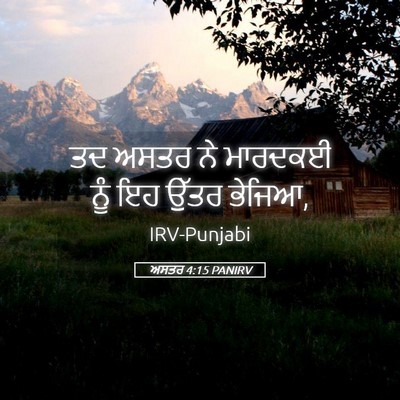 Picture 05 - ਅਸਤਰ 4:15 PANIRV - ਤਦ ਅਸਤਰ ਨੇ ਮਾਰਦਕਈ - Bible Verse Picture