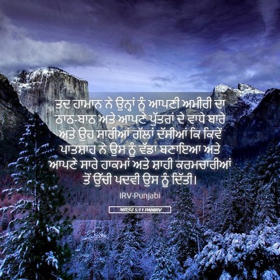 Picture 05 - ਅਸਤਰ 5:11 PANIRV - ਤਦ ਹਾਮਾਨ ਨੇ ਉਨ੍ਹਾਂ - Bible Verse Picture