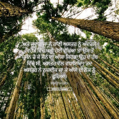 Picture 05 - ਅਸਤਰ 5:2 PANIRV - ਅਤੇ ਜਦ ਰਾਜਾ ਨੇ ਰਾਣੀ - Bible Verse Picture