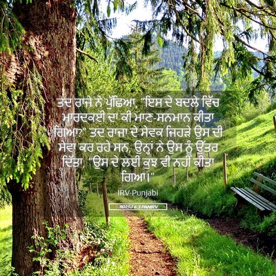 Picture 05 - ਅਸਤਰ 6:3 PANIRV - ਤਦ ਰਾਜੇ ਨੇ ਪੁੱਛਿਆ, - Bible Verse Picture