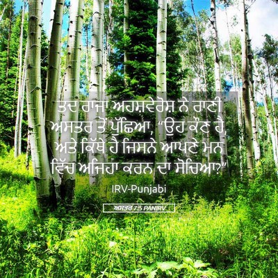 Picture 05 - ਅਸਤਰ 7:5 PANIRV - ਤਦ ਰਾਜਾ - Bible Verse Picture