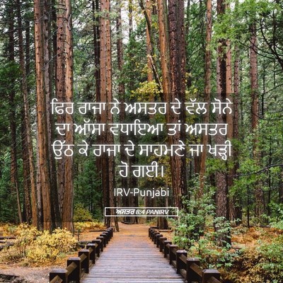 Picture 05 - ਅਸਤਰ 8:4 PANIRV - ਫਿਰ ਰਾਜਾ ਨੇ ਅਸਤਰ ਦੇ - Bible Verse Picture