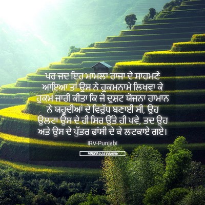 Picture 05 - ਅਸਤਰ 9:25 PANIRV - ਪਰ ਜਦ ਇਹ ਮਾਮਲਾ ਰਾਜਾ - Bible Verse Picture