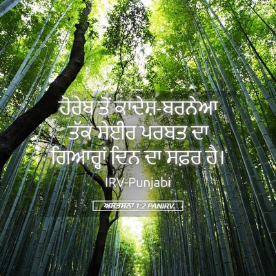 Picture 05 - ਅਸਤਸਨਾ 1:2 PANIRV - ਹੋਰੇਬ ਤੋਂ - Bible Verse Picture