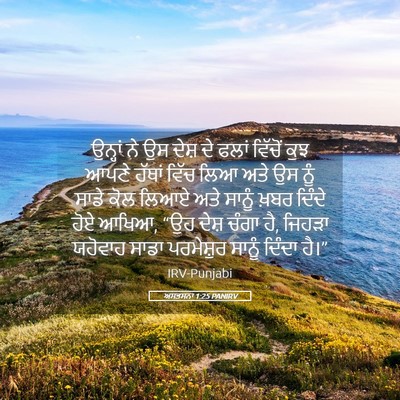 Picture 05 - ਅਸਤਸਨਾ 1:25 PANIRV - ਉਨ੍ਹਾਂ ਨੇ ਉਸ ਦੇਸ਼ - Bible Verse Picture