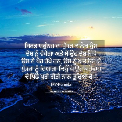 Picture 05 - ਅਸਤਸਨਾ 1:36 PANIRV - ਸਿਰਫ਼ ਯਫ਼ੁੰਨਹ ਦਾ - Bible Verse Picture