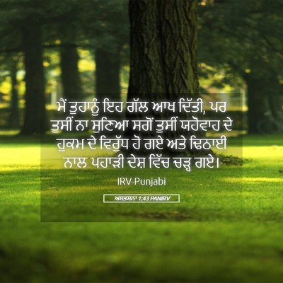 Picture 05 - ਅਸਤਸਨਾ 1:43 PANIRV - ਮੈਂ ਤੁਹਾਨੂੰ ਇਹ ਗੱਲ - Bible Verse Picture