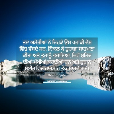 Picture 05 - ਅਸਤਸਨਾ 1:44 PANIRV - ਤਦ ਅਮੋਰੀਆਂ ਨੇ - Bible Verse Picture