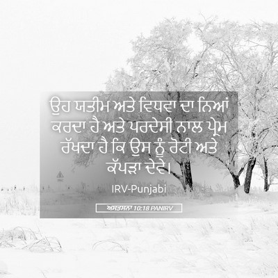 Picture 05 - ਅਸਤਸਨਾ 10:18 PANIRV - ਉਹ ਯਤੀਮ ਅਤੇ ਵਿਧਵਾ - Bible Verse Picture