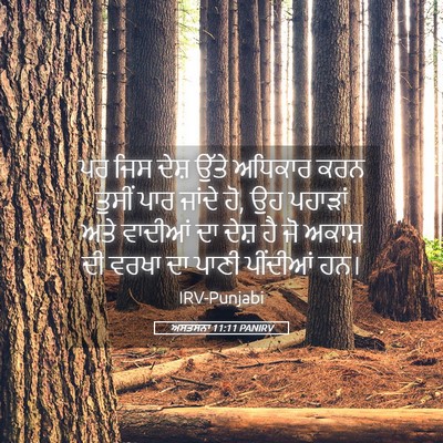 Picture 05 - ਅਸਤਸਨਾ 11:11 PANIRV - ਪਰ ਜਿਸ ਦੇਸ਼ ਉੱਤੇ - Bible Verse Picture