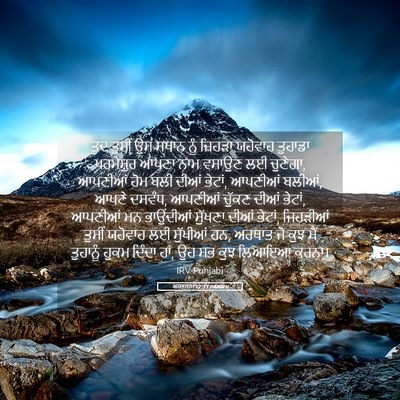 Picture 05 - ਅਸਤਸਨਾ 12:11 PANIRV - ਤਦ ਤੁਸੀਂ ਉਸ ਸਥਾਨ - Bible Verse Picture