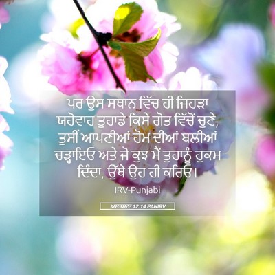 Picture 05 - ਅਸਤਸਨਾ 12:14 PANIRV - ਪਰ ਉਸ ਸਥਾਨ ਵਿੱਚ ਹੀ - Bible Verse Picture