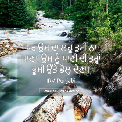 Picture 05 - ਅਸਤਸਨਾ 12:16 PANIRV - ਪਰ ਉਸ ਦਾ ਲਹੂ ਤੁਸੀਂ - Bible Verse Picture