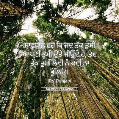 Picture 05 - ਅਸਤਸਨਾ 12:19 PANIRV - ਸਾਵਧਾਨ ਰਹੋ ਕਿ ਜਦ - Bible Verse Picture