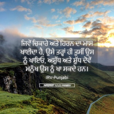 Picture 05 - ਅਸਤਸਨਾ 12:22 PANIRV - ਜਿਵੇਂ ਚਿਕਾਰੇ ਅਤੇ - Bible Verse Picture