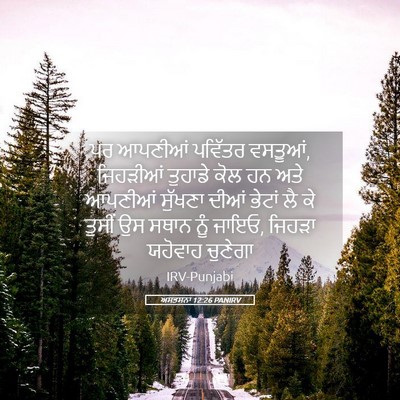Picture 05 - ਅਸਤਸਨਾ 12:26 PANIRV - ਪਰ ਆਪਣੀਆਂ ਪਵਿੱਤਰ - Bible Verse Picture