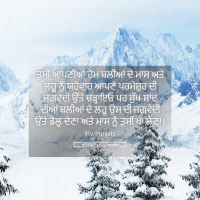 Picture 05 - ਅਸਤਸਨਾ 12:27 PANIRV - ਤੁਸੀਂ ਆਪਣੀਆਂ ਹੋਮ - Bible Verse Picture