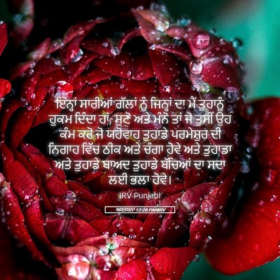 Picture 05 - ਅਸਤਸਨਾ 12:28 PANIRV - ਇਨ੍ਹਾਂ ਸਾਰੀਆਂ - Bible Verse Picture