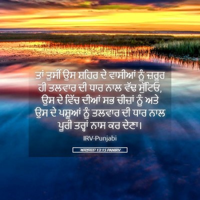 Picture 05 - ਅਸਤਸਨਾ 13:15 PANIRV - ਤਾਂ ਤੁਸੀਂ ਉਸ ਸ਼ਹਿਰ - Bible Verse Picture