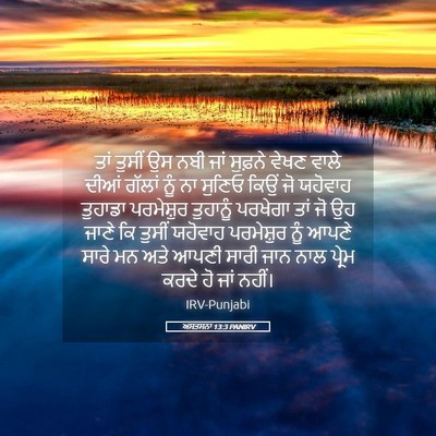Picture 05 - ਅਸਤਸਨਾ 13:3 PANIRV - ਤਾਂ ਤੁਸੀਂ ਉਸ ਨਬੀ - Bible Verse Picture