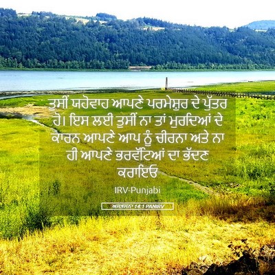 Picture 05 - ਅਸਤਸਨਾ 14:1 PANIRV - ਤੁਸੀਂ ਯਹੋਵਾਹ ਆਪਣੇ - Bible Verse Picture