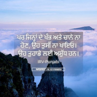 Picture 05 - ਅਸਤਸਨਾ 14:10 PANIRV - ਪਰ ਜਿਨ੍ਹਾਂ ਦੇ ਖੰਭ - Bible Verse Picture