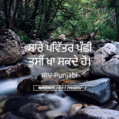 Picture 05 - ਅਸਤਸਨਾ 14:11 PANIRV - ਸਾਰੇ ਪਵਿੱਤਰ ਪੰਛੀ - Bible Verse Picture