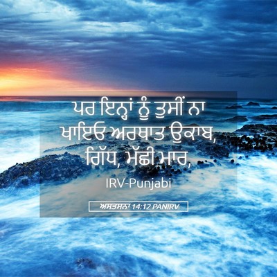 Picture 05 - ਅਸਤਸਨਾ 14:12 PANIRV - ਪਰ ਇਨ੍ਹਾਂ ਨੂੰ - Bible Verse Picture