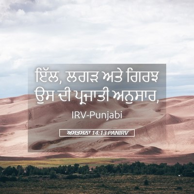 Picture 05 - ਅਸਤਸਨਾ 14:13 PANIRV - ਇੱਲ, ਲਗੜ ਅਤੇ ਗਿਰਝ - Bible Verse Picture